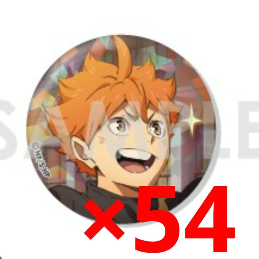 ハイキュー 日向翔陽 缶バッチ ホログラム缶バッジ One Fine Day!