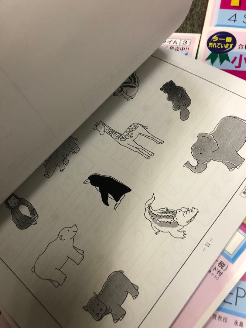 カーサ・フェミニナ　小学校受験　幼児テスト　トライA 1〜12 書き込み/解答無