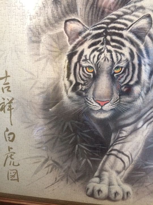 ホワイトタイガー ジグソーパズル完成品