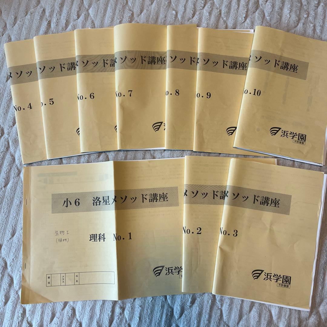 浜学園2025年洛星メソッド 算数国語理科社会四科小6 全巻セット