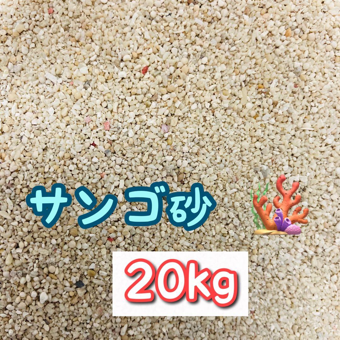 天然サンゴ砂 珊瑚砂 さんご砂 ろ材 海水水槽 ヤドカリ グッピー　20kg