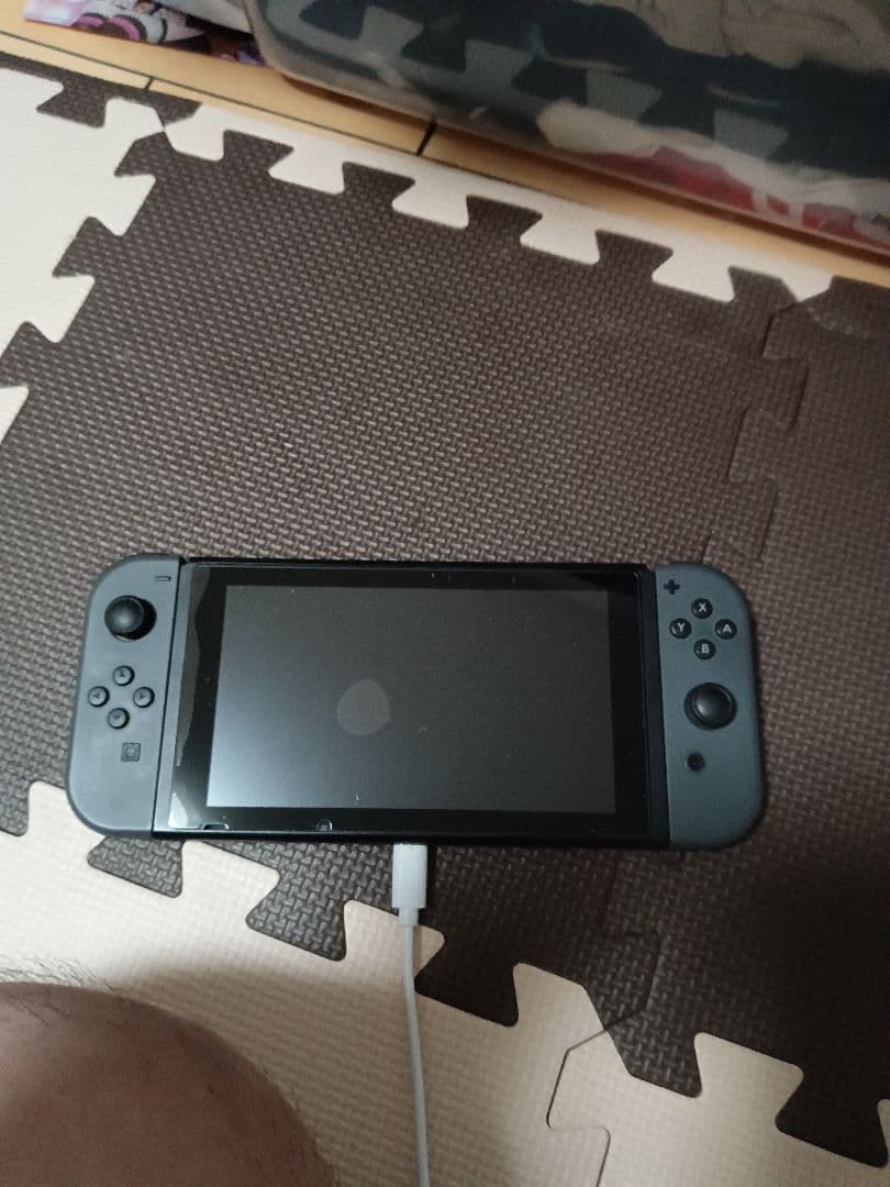 NINTENDO SWITCH ダイラントウ スマッシュブラザーズ S…
