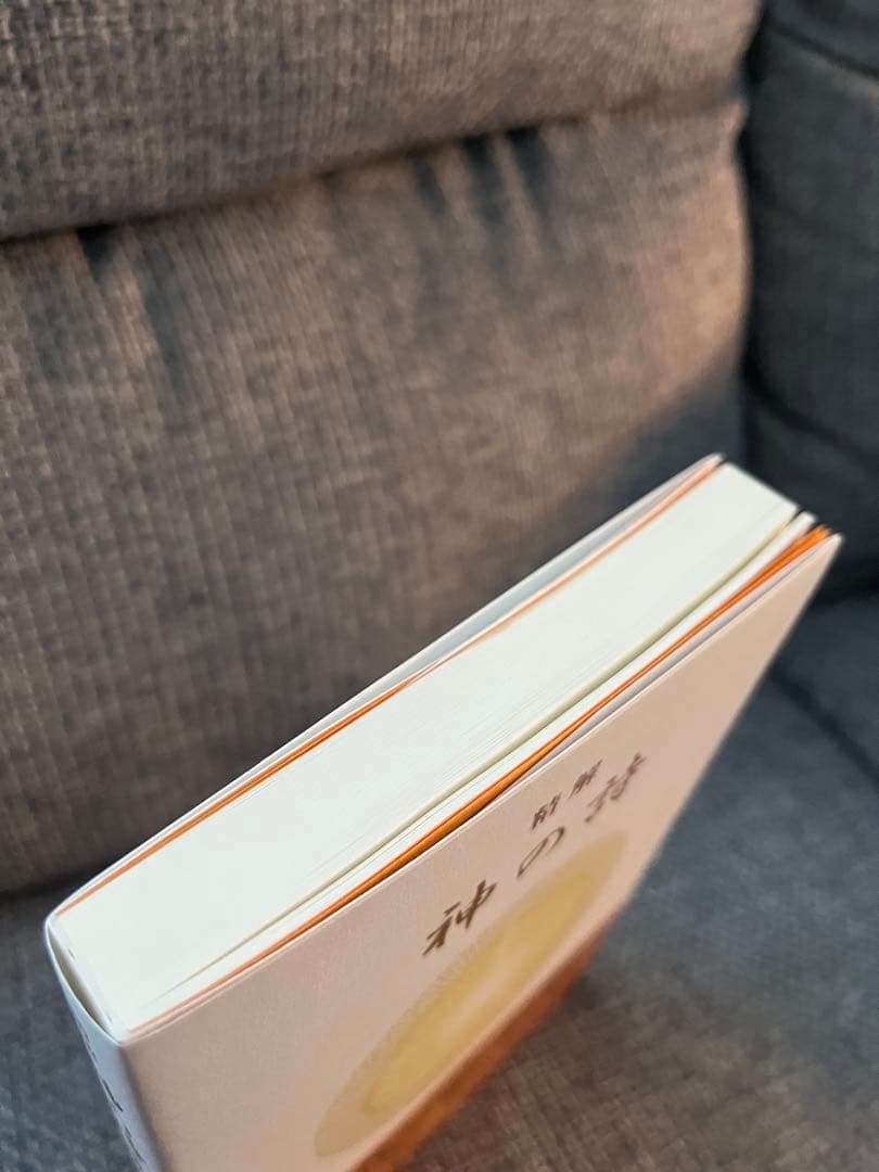 精解 神の詩 聖典バガヴァッド・ギーター 1　森井章二著