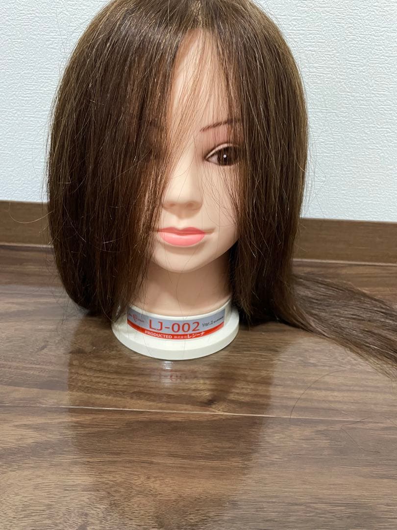 レジーナ アップウィッグ LJ-002 Ver.2