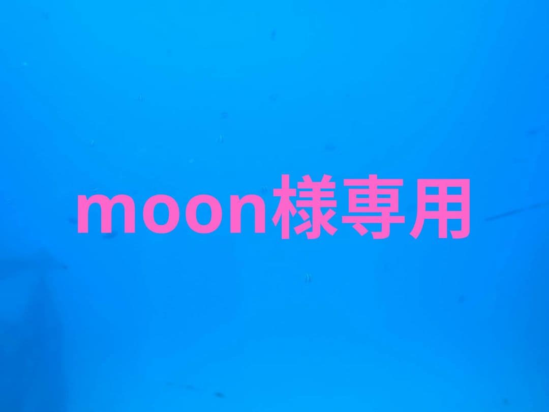 moon Sサイズ NIKE 衣料