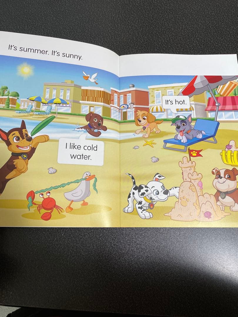 Reading stars paw patrol20冊セット