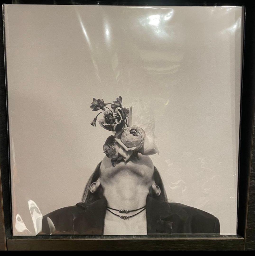 新品未使用　Arche-sublimated LP