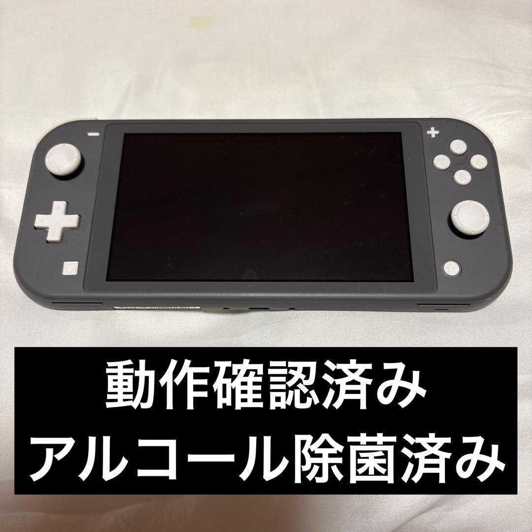 大*様様 NintendoSwitchLite 動作確認済み　ニンテンドースイッ