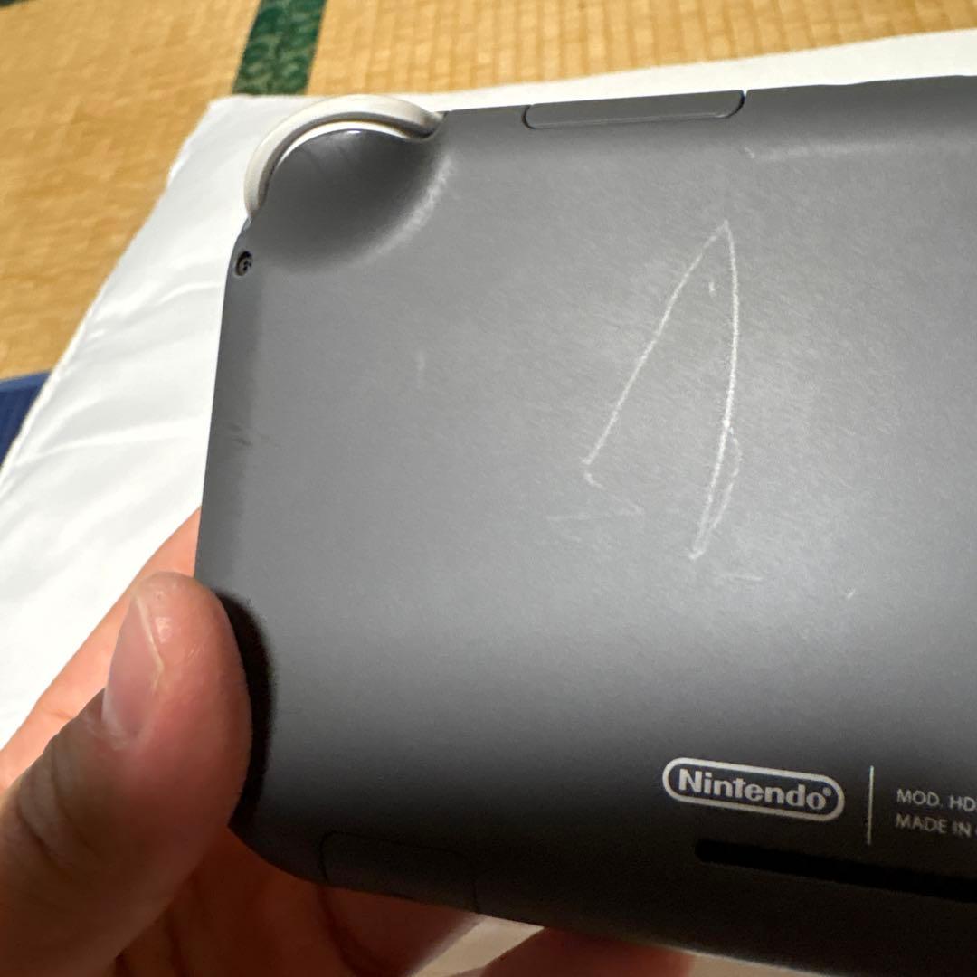 大*様様 NintendoSwitchLite 動作確認済み　ニンテンドースイッ