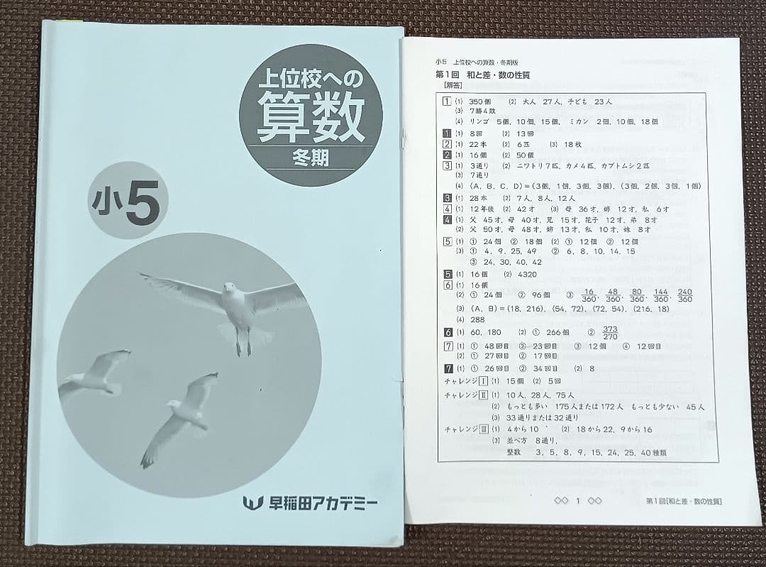 今だけオフ❗️ 小5 冬期講習 早稲田アカデミー 早稲アカ上位校5年生