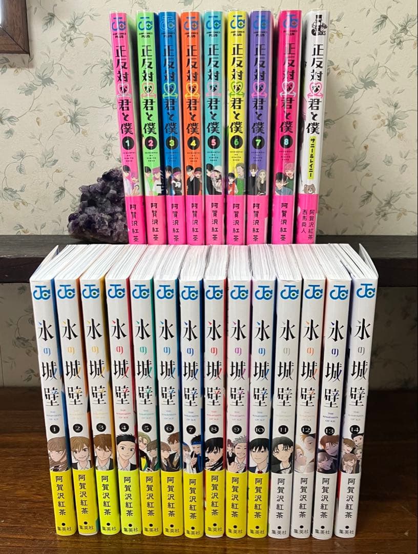 完結全巻　帯付き初版　おまけ付　氷の城壁 + 正反対な君と僕 +サニー&レイニー