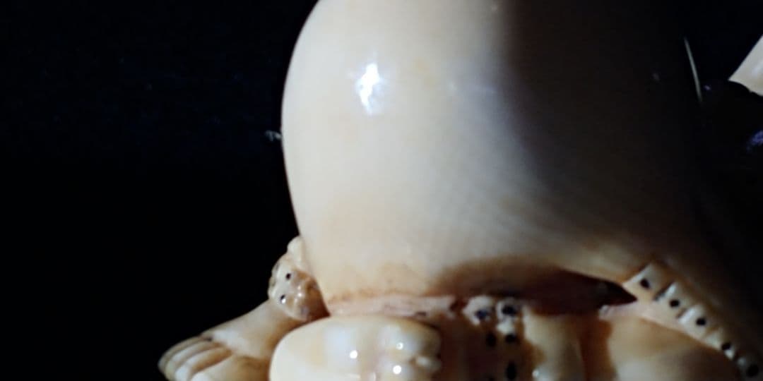 『蛸と海女』マンモス牙の彫刻 浮世絵師　葛飾北斎の「蛸と海女」の構図根付