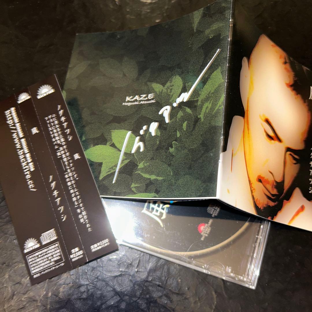 (1068) 直筆サイン入り ノグチアツシ 風 角松敏生 浜田真理子