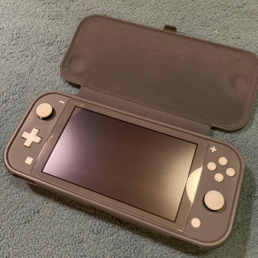 極美品　Nintendo Switch Lite グレー ケース付き