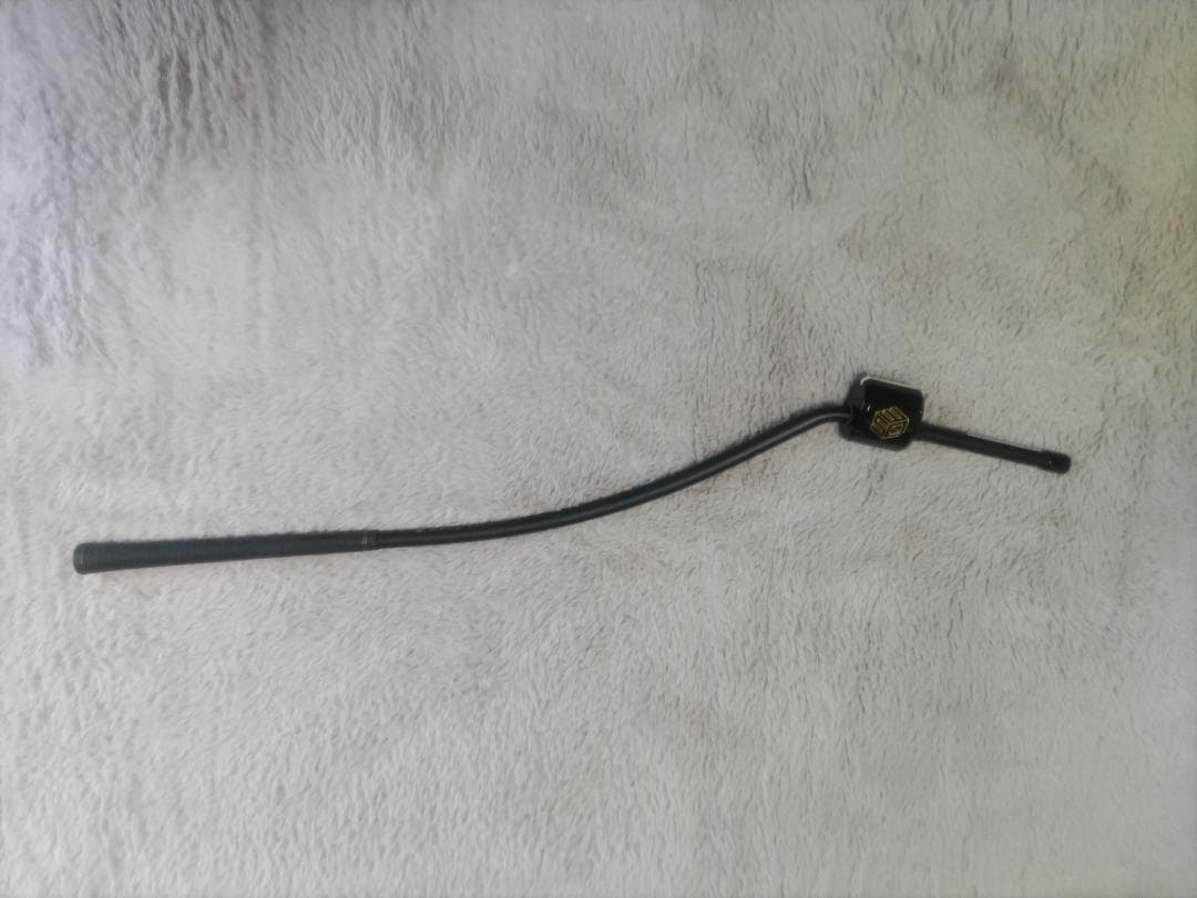 Taskゴルフ3Dスイングメンター正規品、インパクトバック