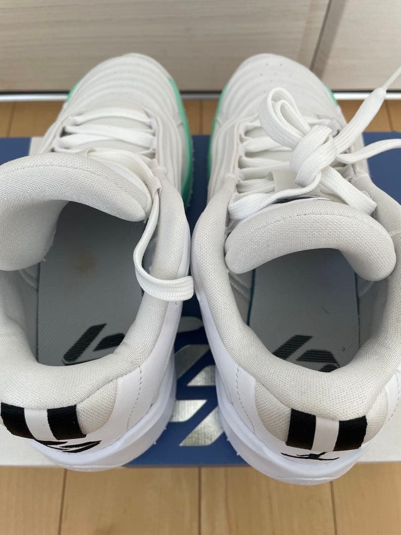 JORDAN LUKA 3 Photo Finish 23 ルカ　バッシュ