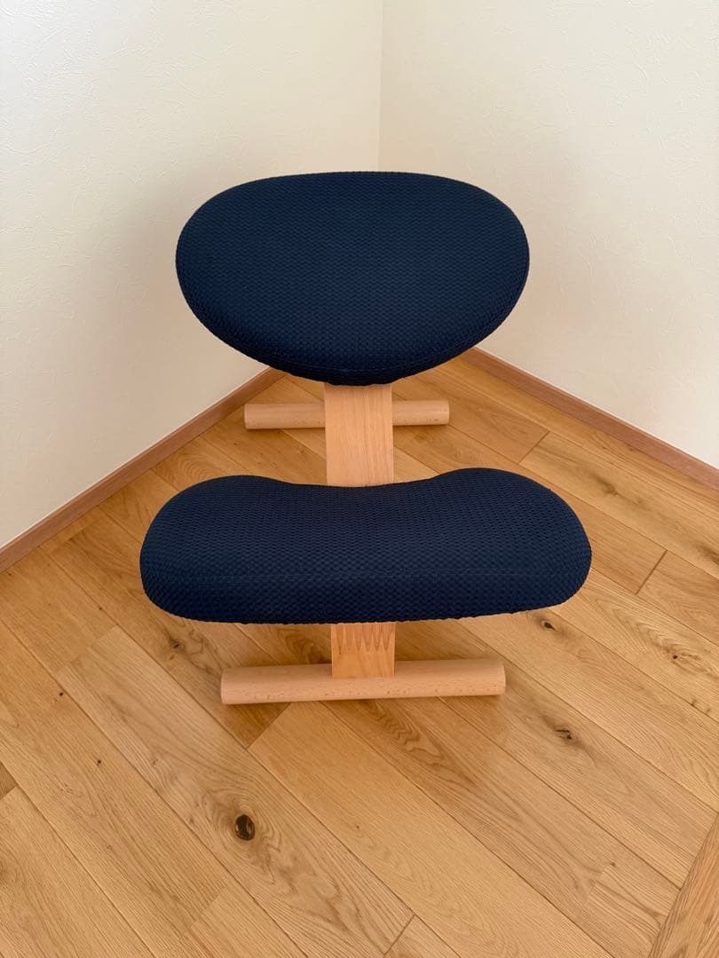 バランスイージー　ネイビー　がバー付き