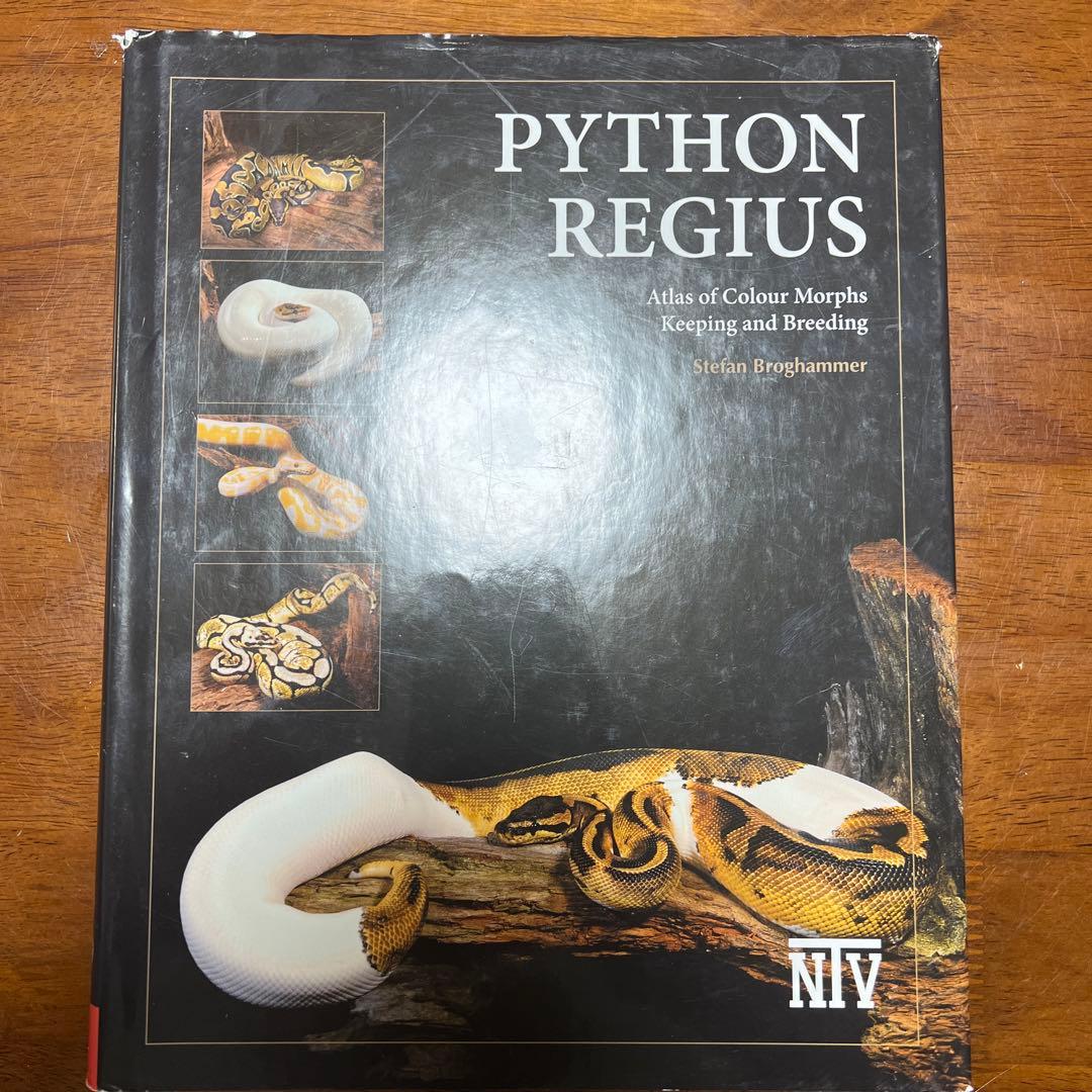洋書 PYTHON REGIUS
