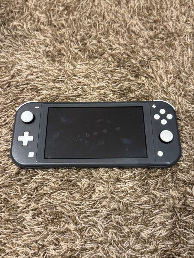 Nintendo Switch Lite 本体 シリコンカバー 充電器 ケース