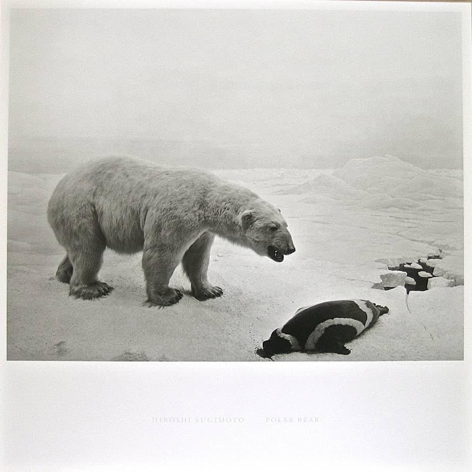 杉本博司 ポスター POLAR BEAR SUGIMOTO