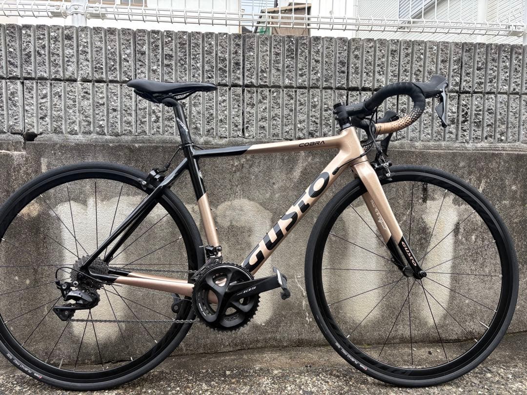 GUSTO COBRA SPORT2023 xsサイズ