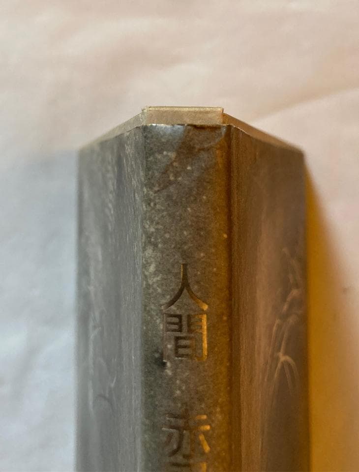 写真集 人間 赤尾敏/宮嶋茂樹