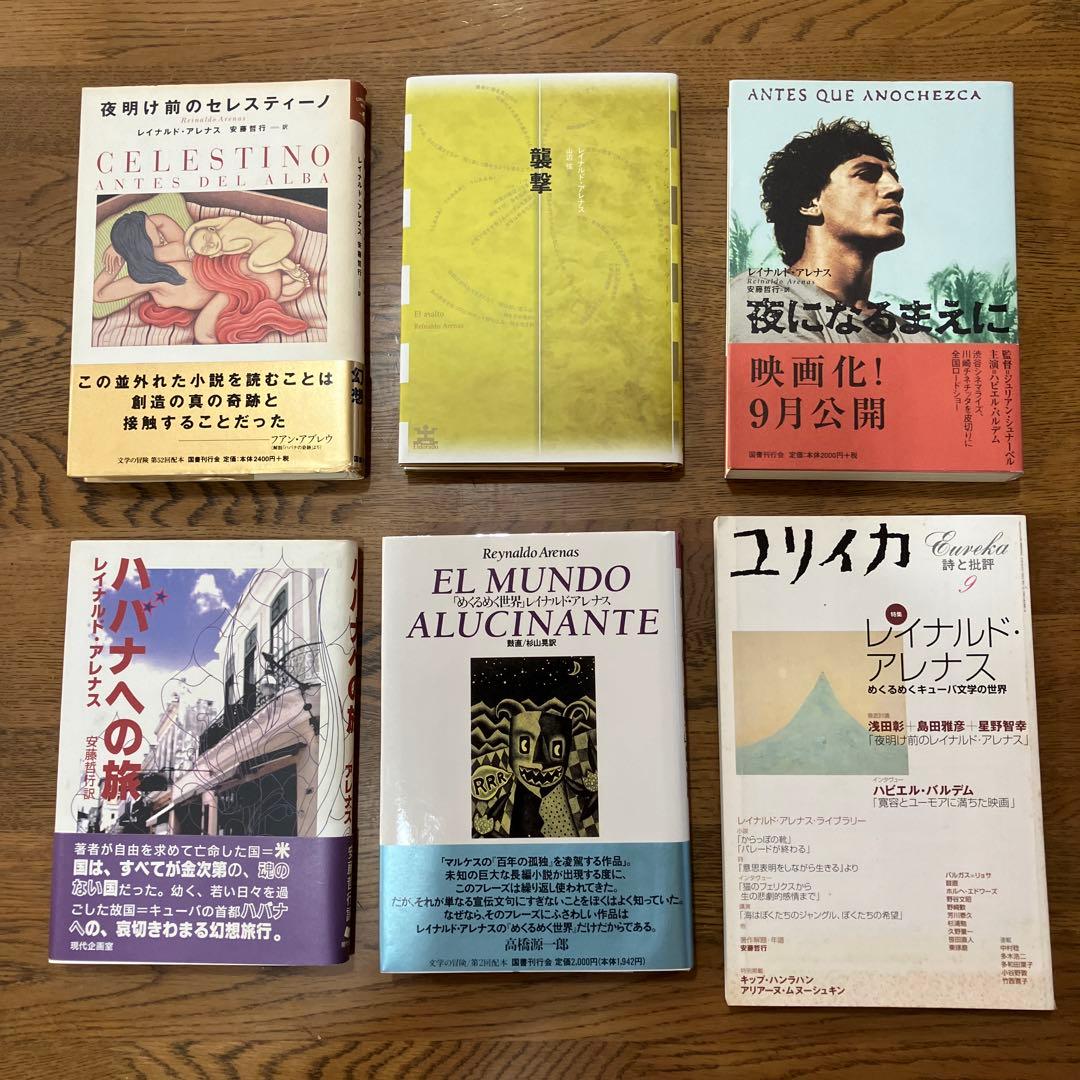 レイナルド•アレナス6冊セット