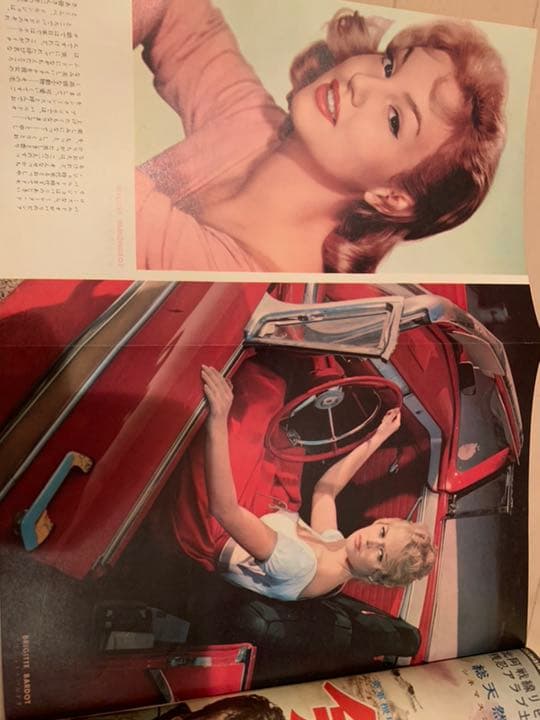 ブリジットバルドー スーザンストラバーグ