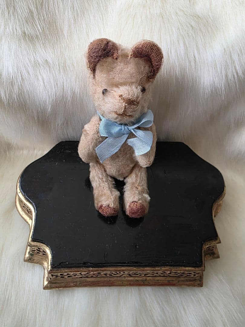 C　JPMベア　フレンチベア