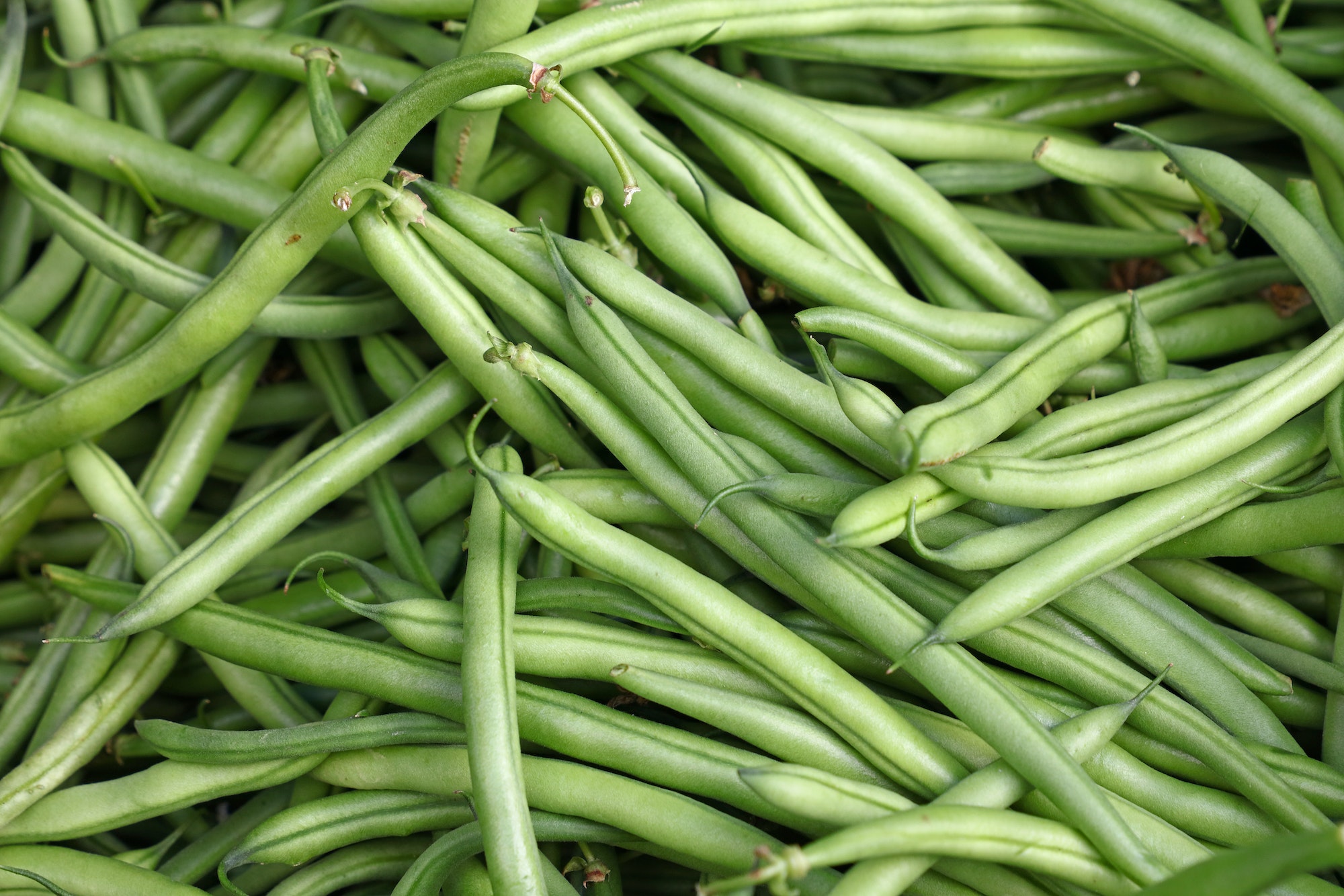 Heap of fresh green beans on market stall