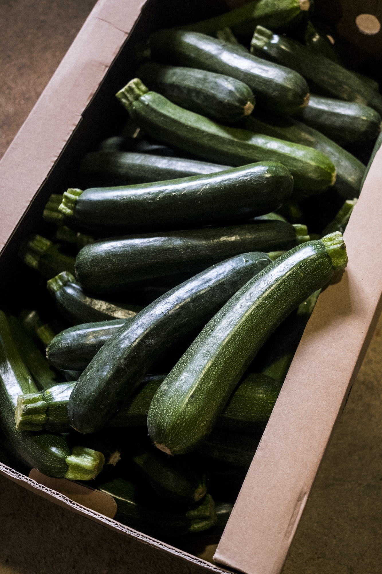 High angle close up of box of freshly picked courgettes.