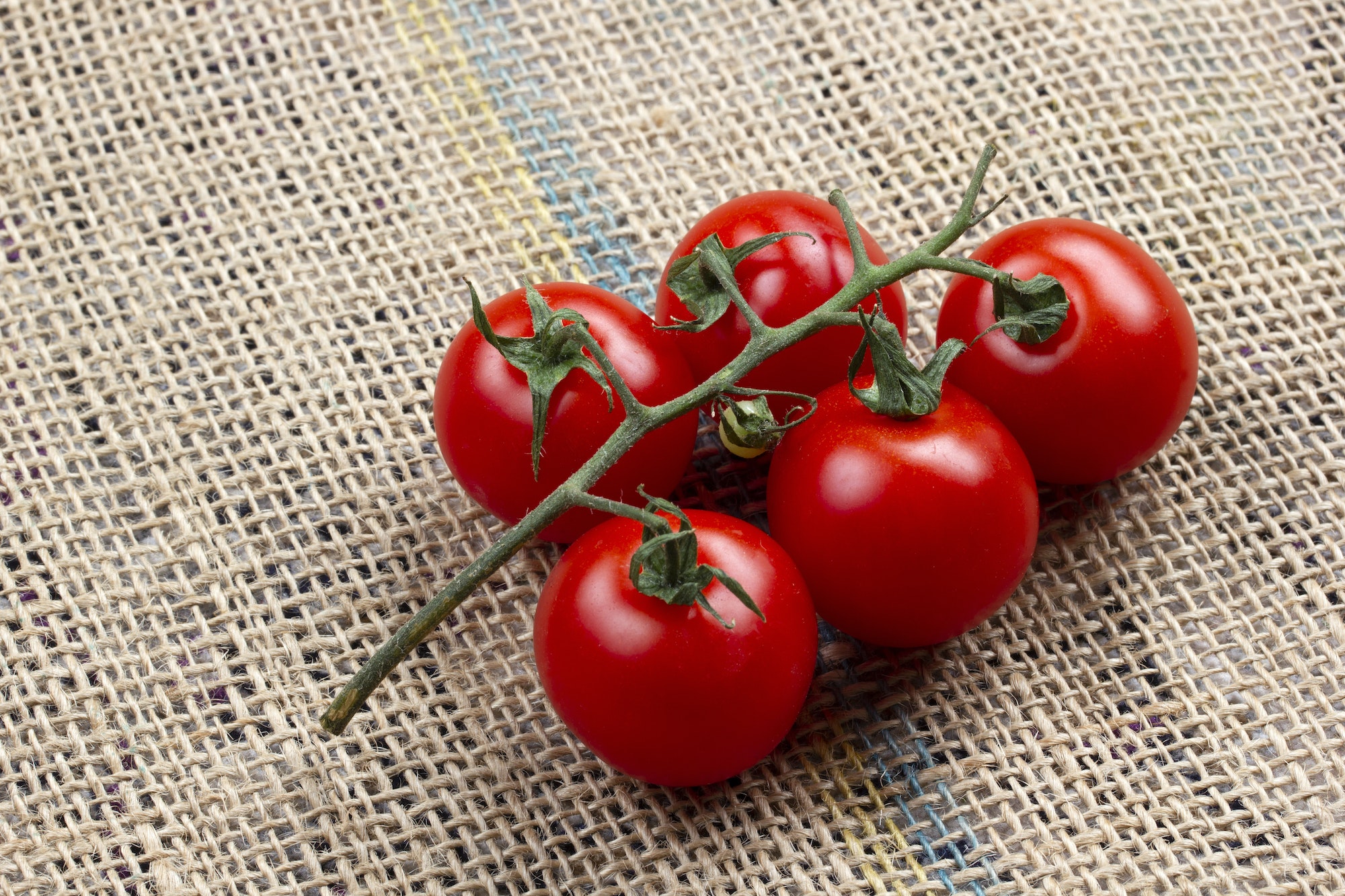 organic, cherry tomates on burlap